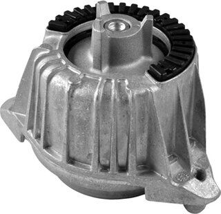 Tedgum TED53841