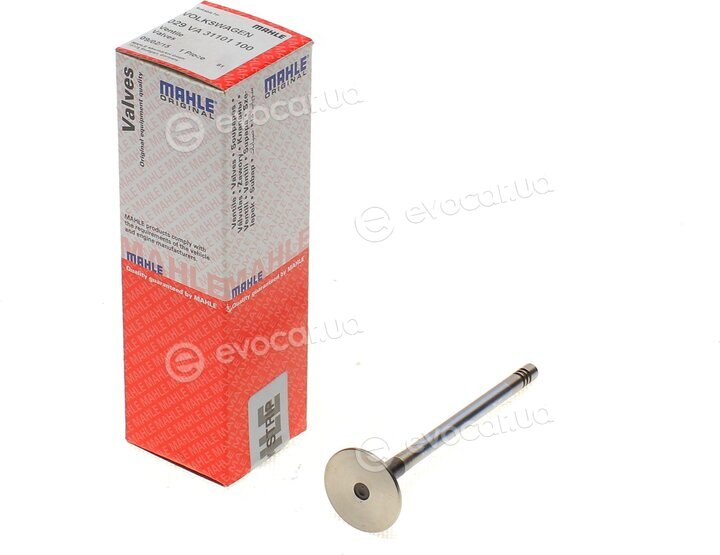 Mahle 029 VA 31101 100