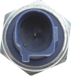 Delphi SW90061