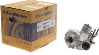 BorgWarner 53039880055