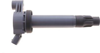Beru ZSE309