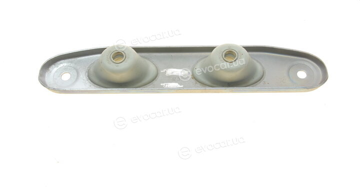 Borsehung B12278