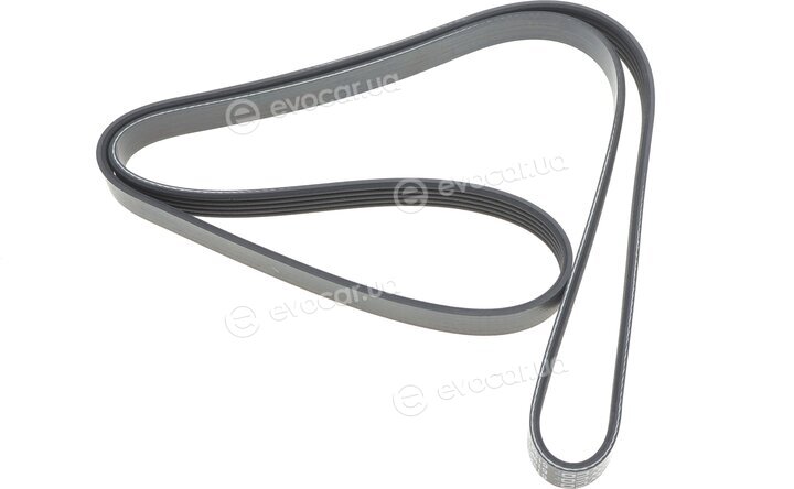 Dayco 5PK1572