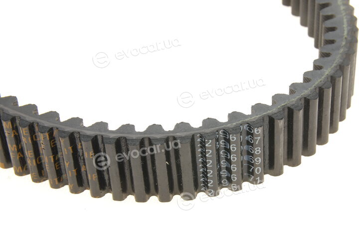 Dayco XTX2248