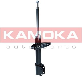 Kamoka 2001181
