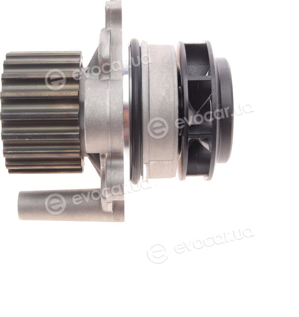 Continental CT1139WP2