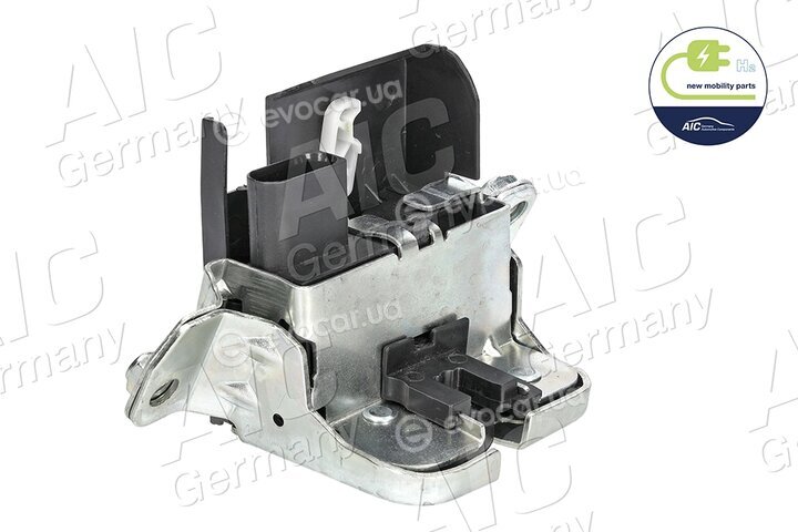 AIC 71913