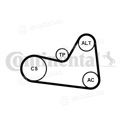 Continental 6PK1026K1