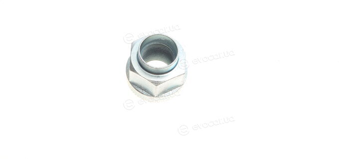 Kavo WBK-1010