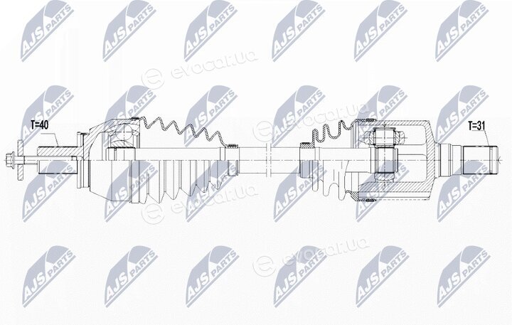 NTY NPW-FR-096