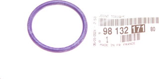 Mopar (PSA / FCA) 9813217180