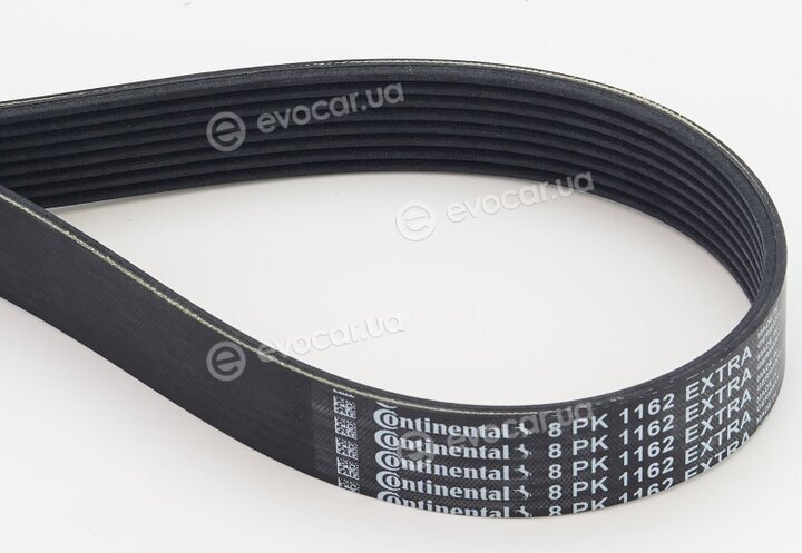 Continental 8PK1162 EXTRA