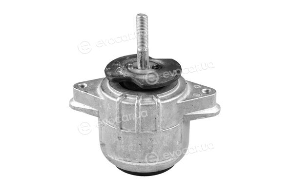 Tedgum TED72741