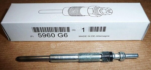 Mopar (PSA / FCA) 5960G6