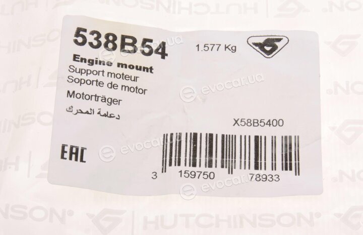 Hutchinson 538B54