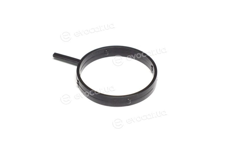 Elring 496.200