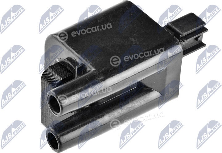 NTY ECZ-MS-002