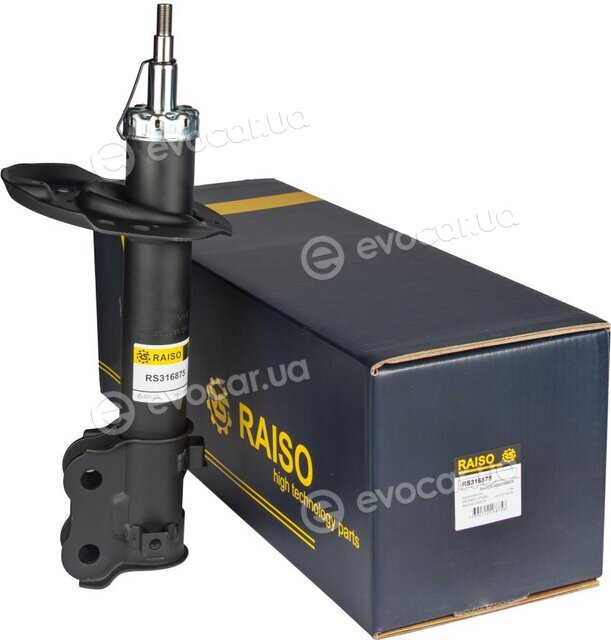 Raiso RS316875