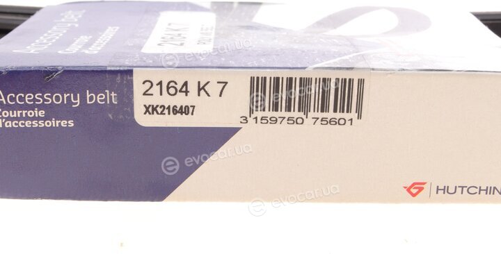 Hutchinson 2164 K 7