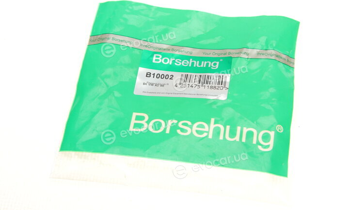 Borsehung B10002