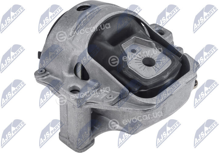 NTY ZPS-PS-005