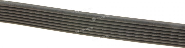 Dayco 7PK2682