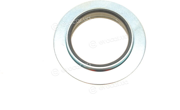 Borsehung B18294