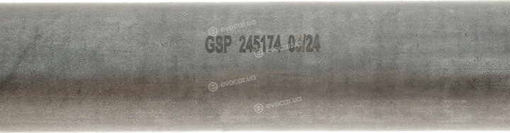 GSP 245174