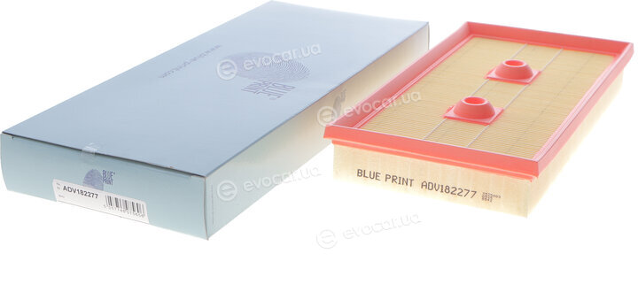 Blue Print ADV182277