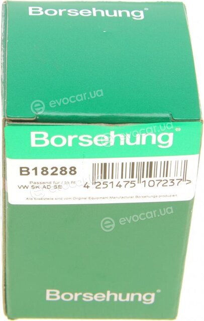 Borsehung B18288