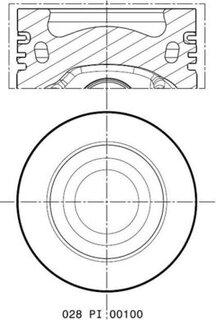 Mahle 028 PI 00100 000