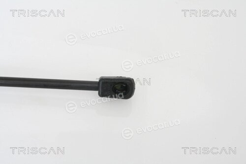 Triscan 8710 24105