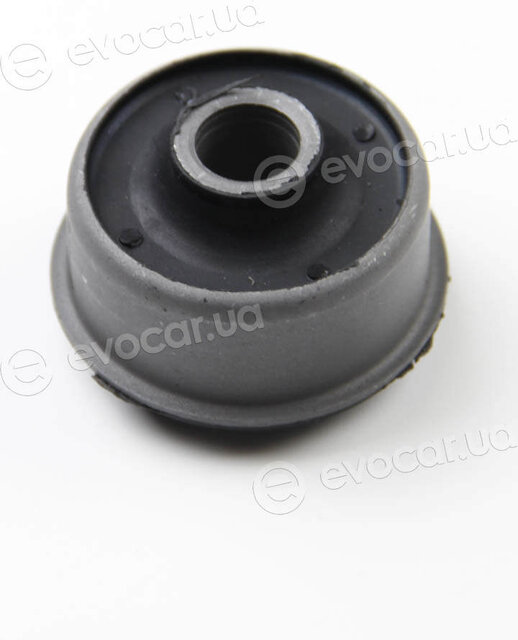 BC Guma 0243