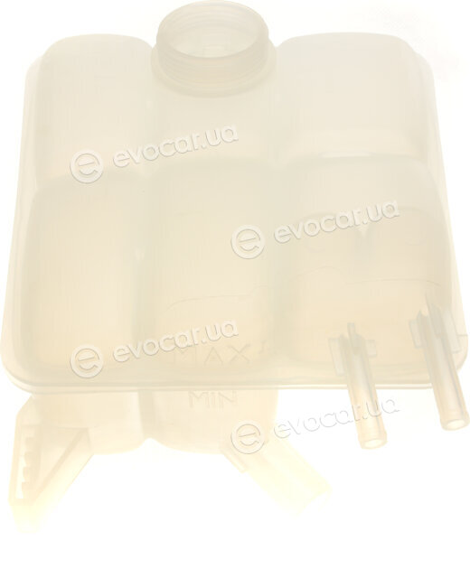 AIC 55991