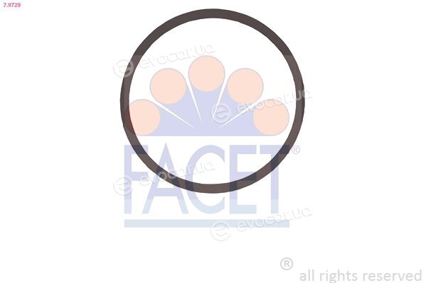 Facet 7.9729