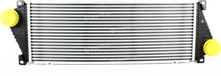 Zilbermann 04-803