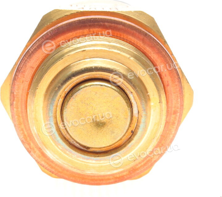 Borsehung B13130