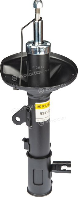 Raiso RS313529