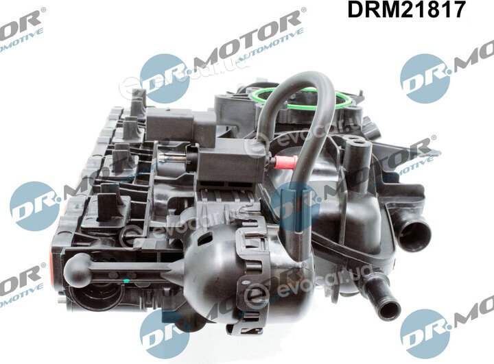 Dr. Motor DRM21817