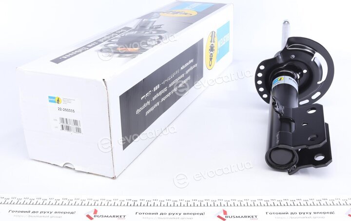 Bilstein 22-250315