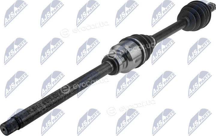 NTY NPW-PE-091