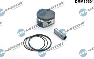 Dr. Motor DRM15601