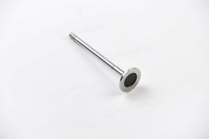 BGA V165671