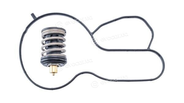 Mahle TX 495 87D