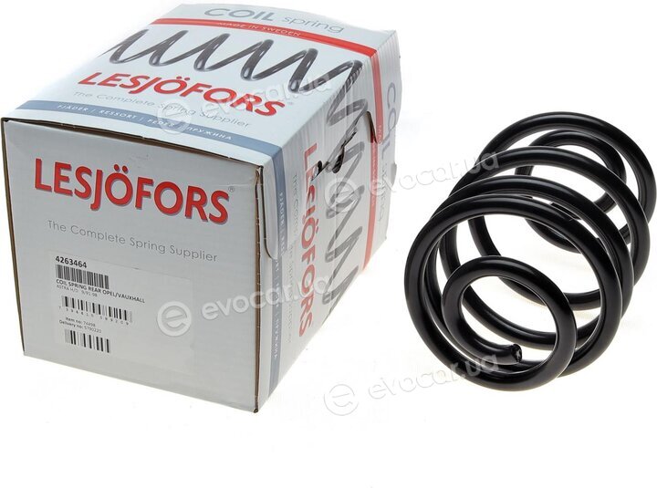 Lesjofors 4263464