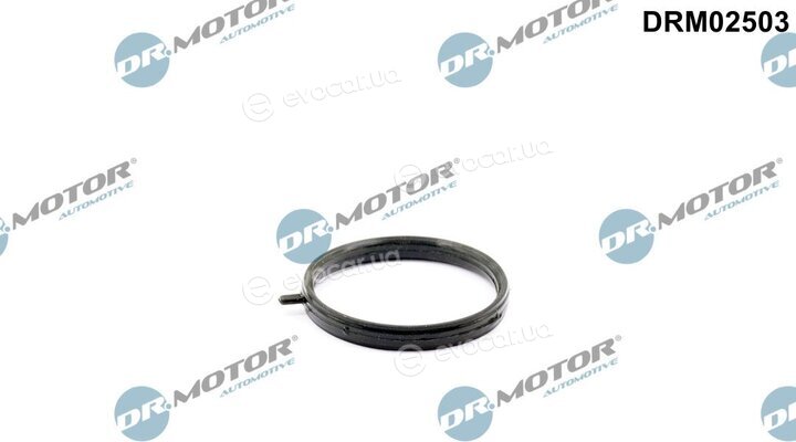 Dr. Motor DRM02503