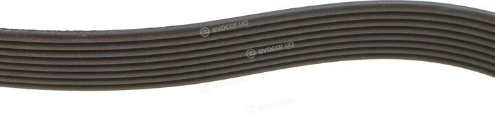 Dayco 8PK2043