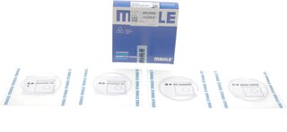 Mahle 640 RS 10102 0N0