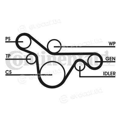 Continental 6PK1413D3