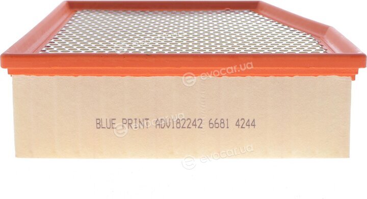 Blue Print ADV182242